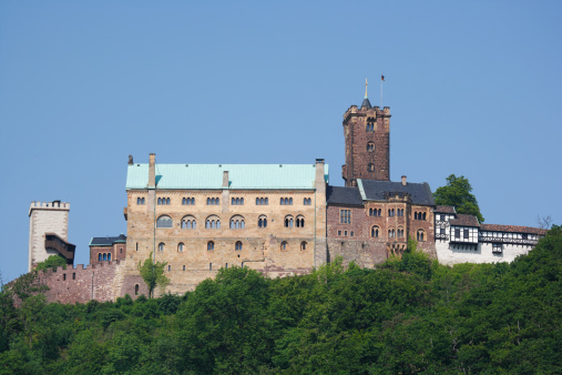 View from the river Rhine at the East bank with the medieval castle Katz (Cat) from 1393 on the top of a hill overlooking the village of Sankt Goarshausen.