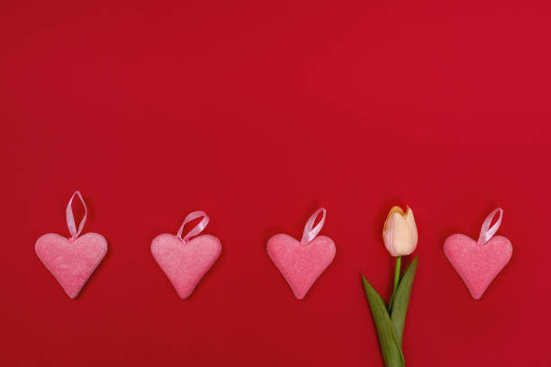 istock Pink hearts and tulip on red background 1460624149