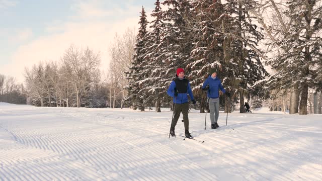 Cross-country skiing in a park