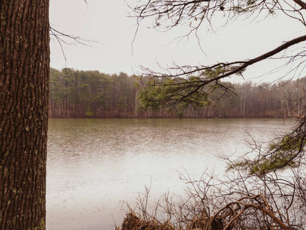 istock View of the Lake 1460626199