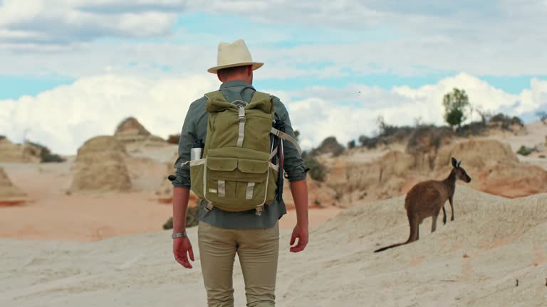 Adventurous man with photography equipment walking past some kangaroos in the dry arid landscape of outback Australia