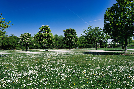 August Sander Park in cologne mediapark, named in honor of the world-famous Cologne photographer