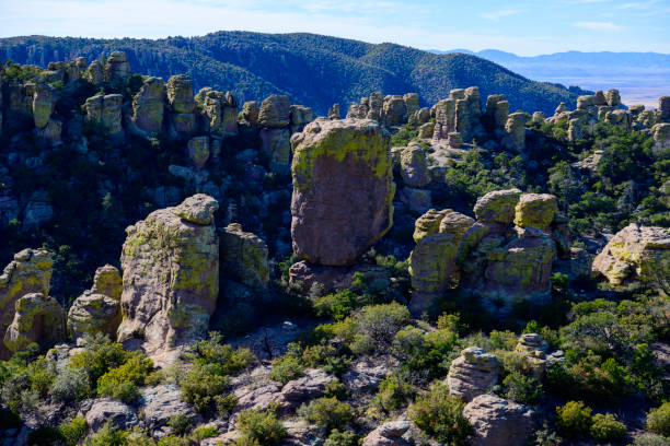 pomnik narodowy chiricahua, arizona. - chiricahua national monument zdjęcia i obrazy z banku zdjęć