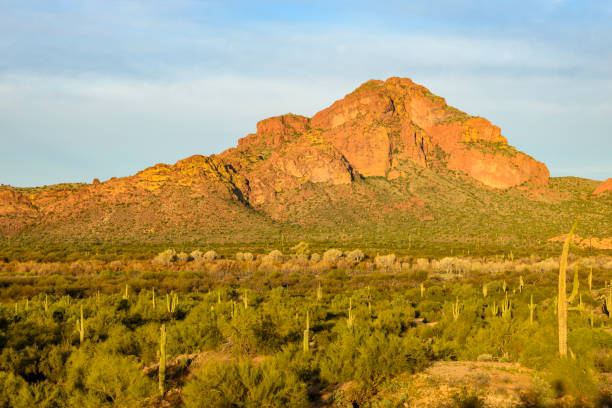 istock Red Mountain. Tonto National Forest. Arizona 1460632865