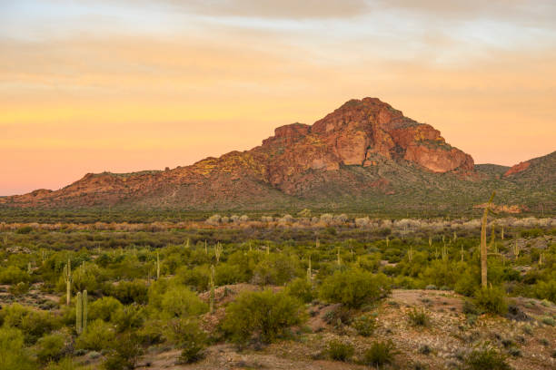 istock Red Mountain. Tonto National Forest. Arizona 1460632917