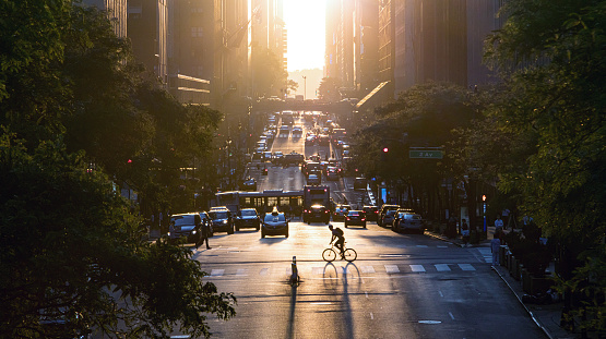 Man riding a bike across the busy intersection past the cars, taxis and buses on 42nd street in Midtown Manhattan, New York City with sunset light background