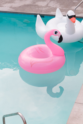 Pink Flamingo and Swan Pool Floatie floating in the water of a Swimming Pool At Palm Springs, California.