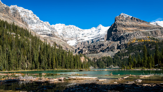 Lake O'Hara, Yoho National Park, British Columbia, Canada.