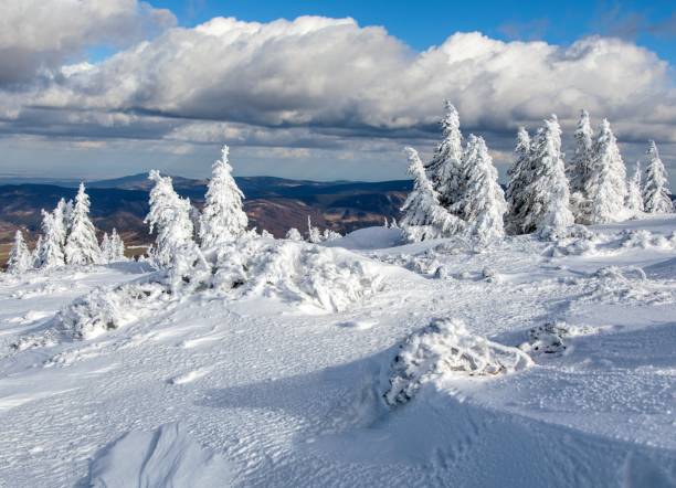 istock snowy forest on mountain, Jeseniky mountains 1460637511