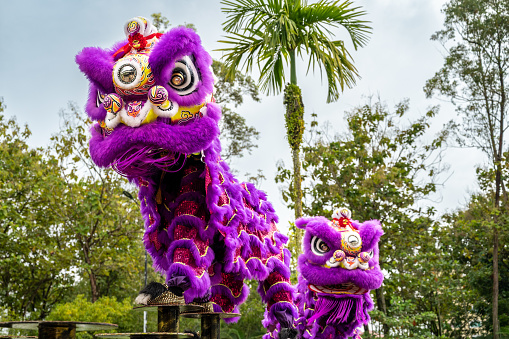 Lion dance during Chinese New Year celebration