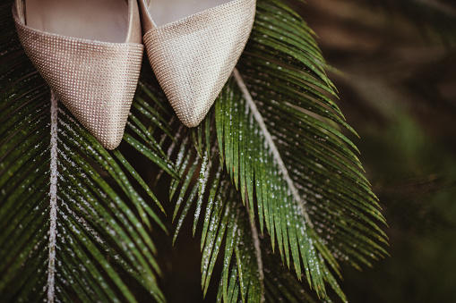 Bride's shoes on a palm leaf