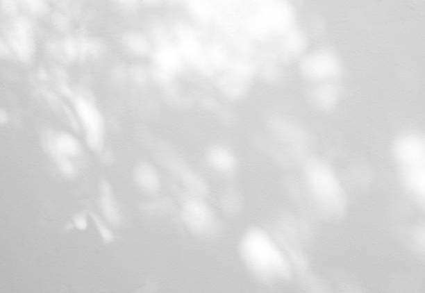 istock Abstract shadow of leaves on a white wall 1460642371