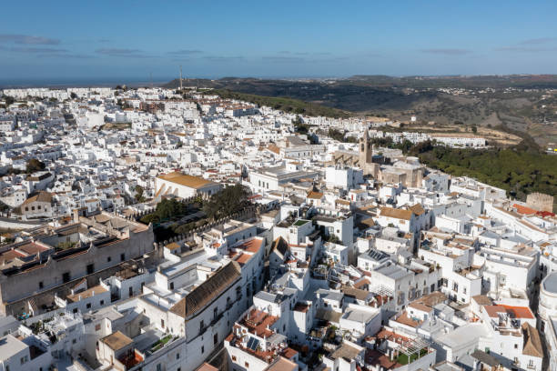 istock Aerial View - Vejer de la Frontera 1460643587