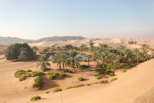 istock Aerial view of a Oasis in desert, UAE 1460646899