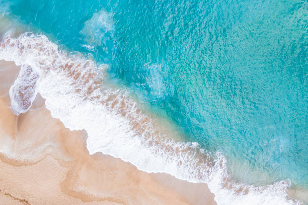 istock A ocean waves and beach top view, natural background. 1460655983