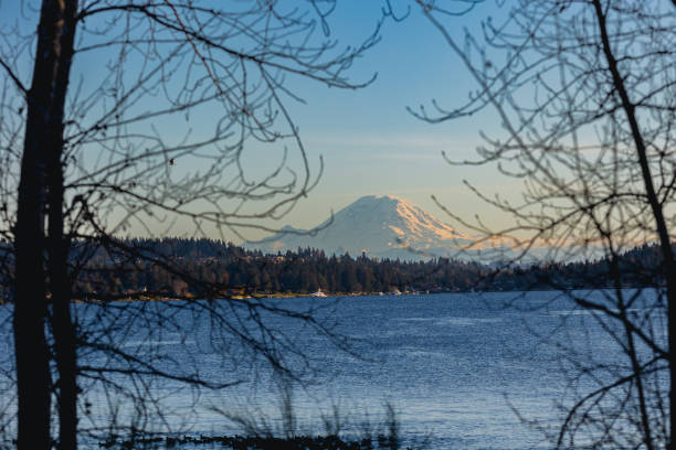 Mount Rainier on a sunny day in January in Seattle Washington. Shot from warren g magnuson park
