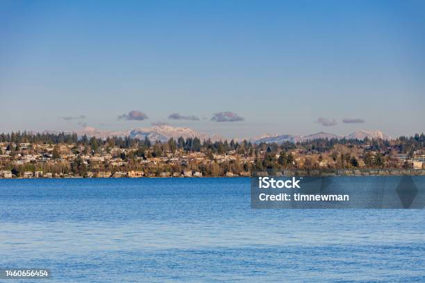 Lake Washington In Seattle Stock Photo - Download Image Now - Animal, Backgrounds, Beach