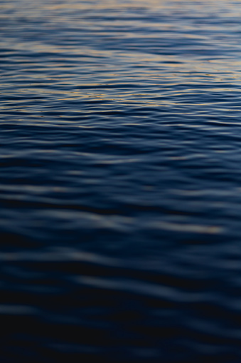 Ripples of water close up, on Lake Washington in Seattle.