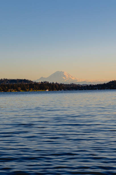 Mount Rainier on a sunny day in January in Seattle Washington. Shot from warren g magnuson park
