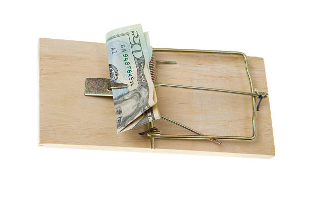 istock Folded $20 Twenty Dollar Bill in Mousetrap, Isolated White Background 146066342