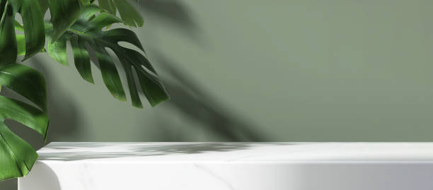 istock Modern minimal empty white marble stone counter table top, tropical monstera tree in sunlight, leaf shadow on matte green wall 1460665058