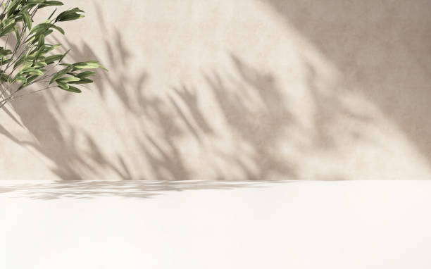 istock Minimal empty white marble stone counter table top, green tree in sunlight, leaf shadow on beige brown stucco cement wall 1460665067