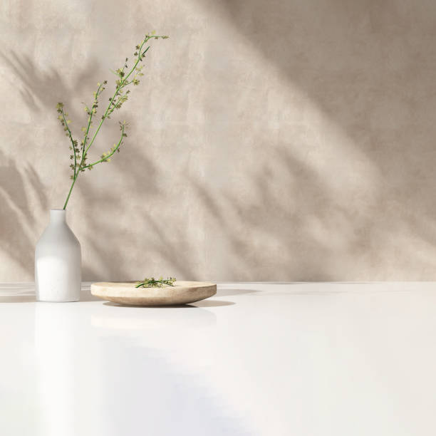 vase blanc moderne avec plante verte, plaque de bois sur table de comptoir en pierre avec espace au soleil, ombre de feuille sur mur de ciment en stuc beige - beauty spa photos photos et images de collection