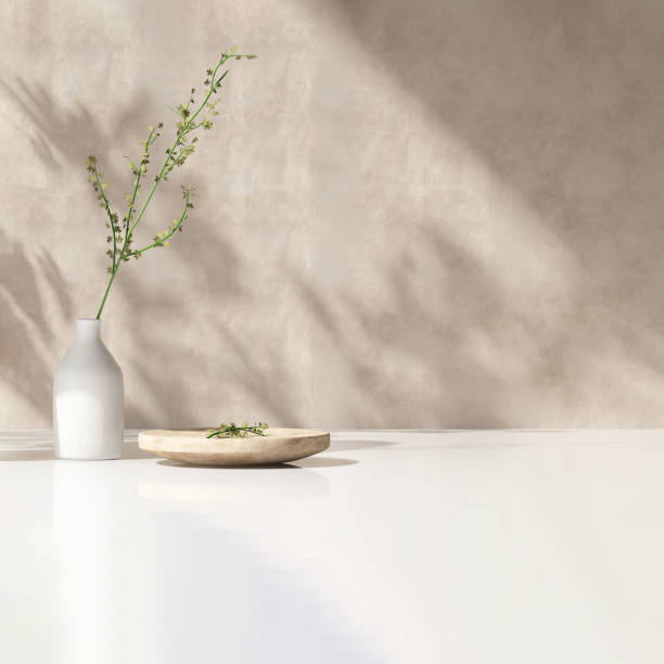 Modern white vase with green plant, wooden plate on stone counter table with space in sunlight, leaf shadow on beige stucco cement wall Modern white vase with green plant, wooden plate on stone counter table with space in sunlight, leaf shadow on beige stucco cement wall for interior design decoration, product display background 3D thai decor stock pictures, royalty-free photos & images