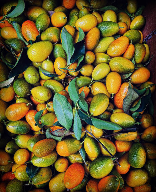 istock Kumquats at the market 1460665530
