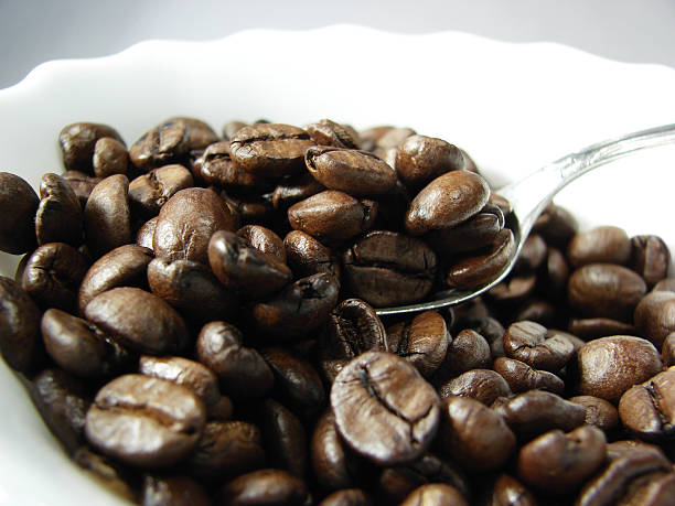 Grãos de café naturais - fotografia de stock