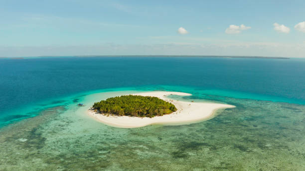 istock Tropical island with sandy beach. Balabac, Palawan, Philippines. 1460668785