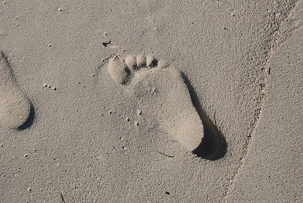 istock Footprint in the sand 146067111