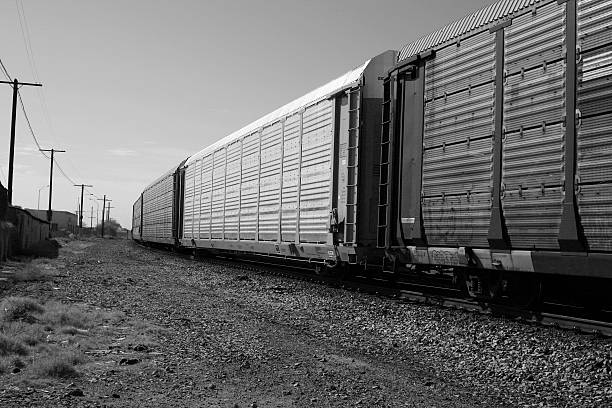 istock cargo train with corrugated steel car panels 146067149