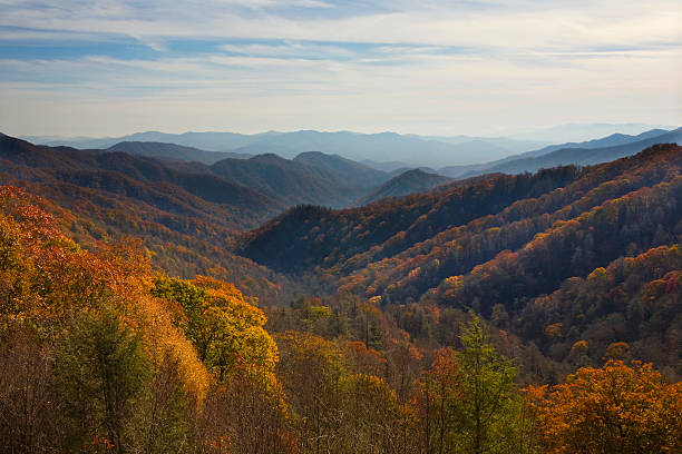 istock Smokey Mountain National Park in Fall 146067236