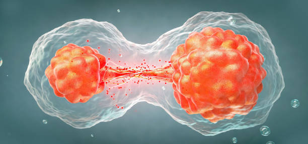 istock 3D rendering of human cell or embryonic stem cell microscope background 1460672478