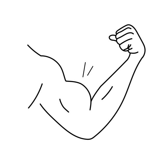 보디 빌더처럼 큰 근육을 가진 팔. 흰색 배경에 격리된 벡터 낙서 그림 - flexing muscles illustrations stock illustrations