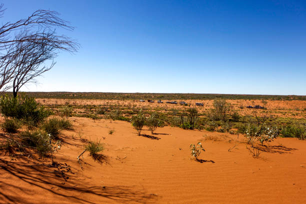 outback western australia - 4wd 4x4 convoy australia imagens e fotografias de stock