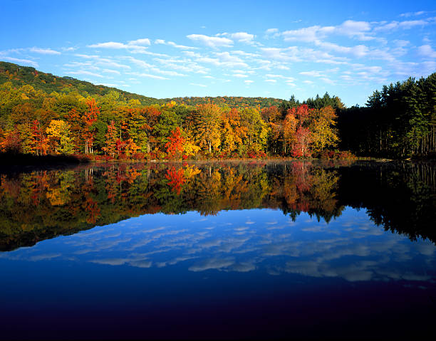 Autumn reflections stock photo