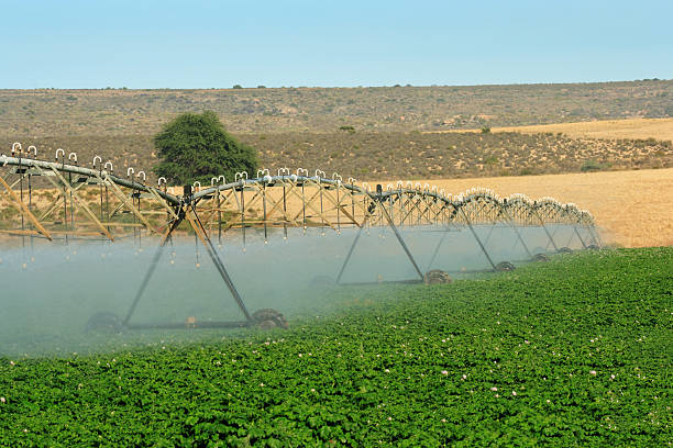 Sistema de riego de la agricultura en el sur de África Farm 1 - foto de stock