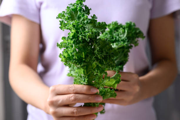 istock Green Kale or leaf cabbage in woman hand, Healthy vegetable 1460688091
