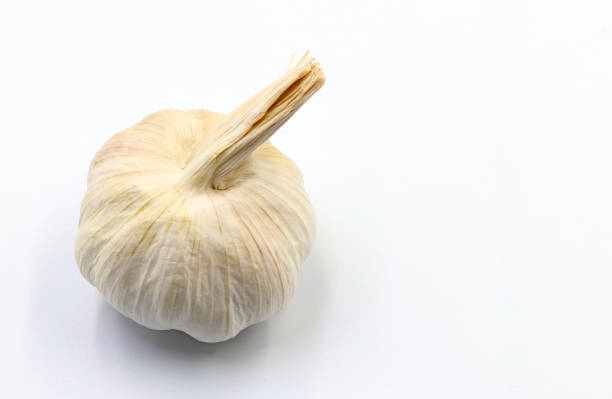 A head of garlic on a white background
