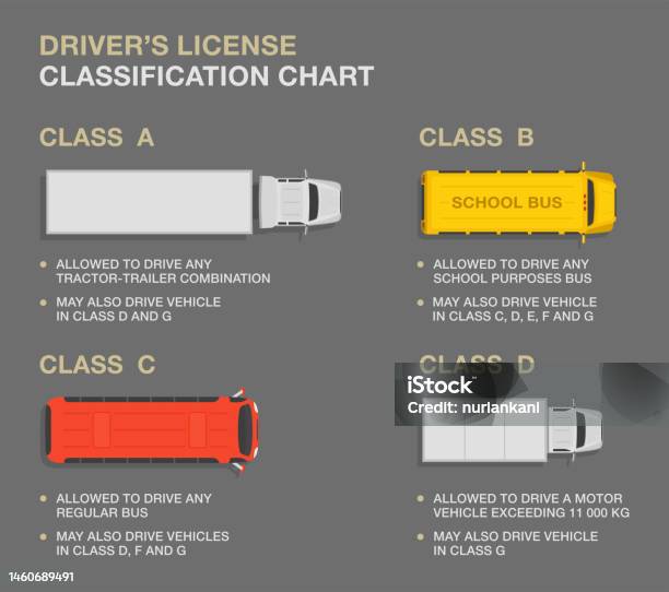 Types Permis Types De Permis De Conduire Et Descriptions Infographie Du Tableau De ...