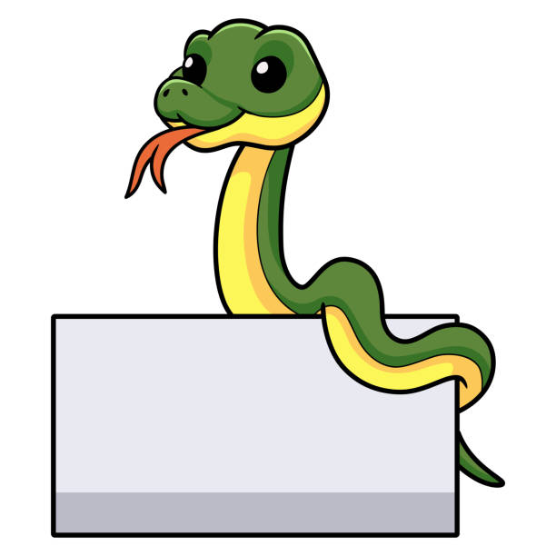 istock Cute easten racer snake cartoon with blank sign 1460691096