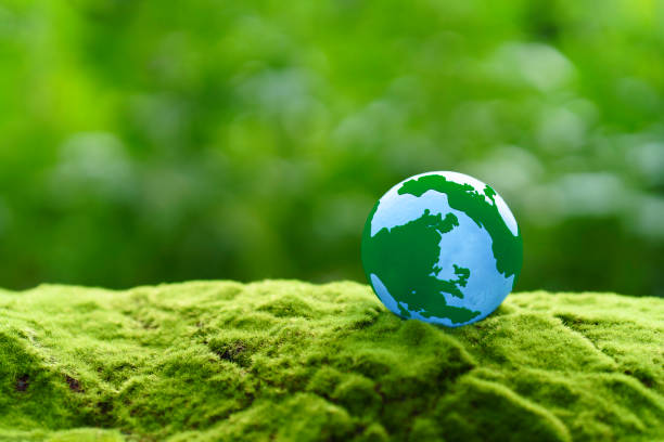 istock Globe Glass on green grass forest with sunlight. Environment, save world, earth day and conservation Concept. 1460691482