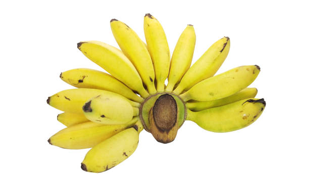 istock Yellow banana isolated on white background 1460691526