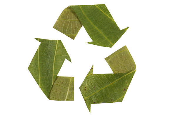 istock recycling symbol made fom leaves 146069747