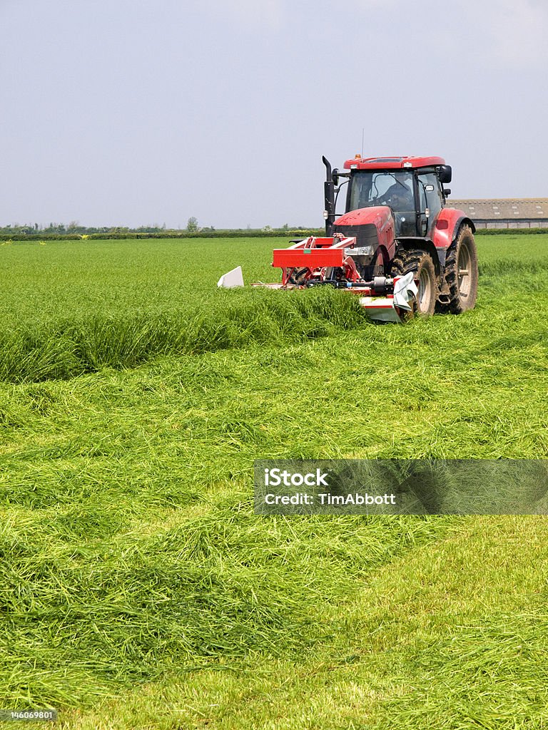 Трава резания для Силосоуборочный - Стоковые фото Трактор роялти-фри