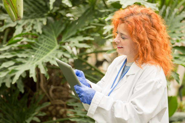 istock Woman in a lab coat using a tablet in a greenhouse 1460698404