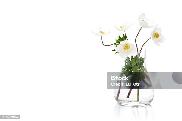 Foto de Branco De Flores Em Vaso De Vidro e mais fotos de stock de Vaso - Vaso, Flor, Transparente