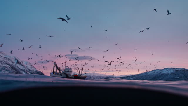 Split shot of brilliant dramatic sunrise with birds and fishing vessel with cold deep dark ocean beneath the surface in the Arctic Circle, Norway.